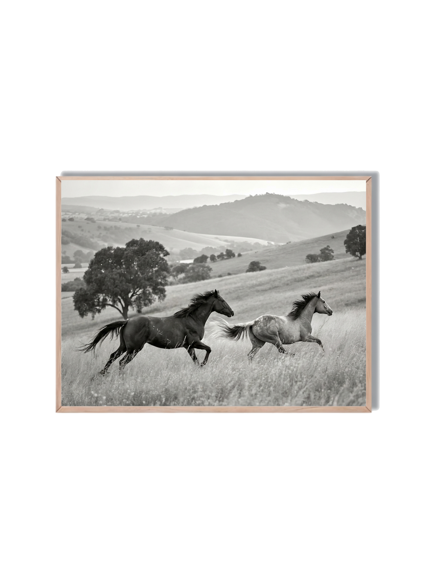 Caballos Salvajes Corriendo #2