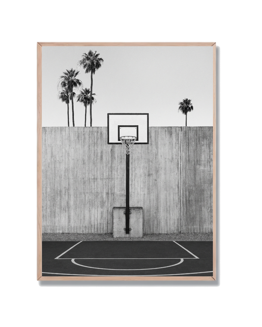 Cancha Baloncesto Palmeras