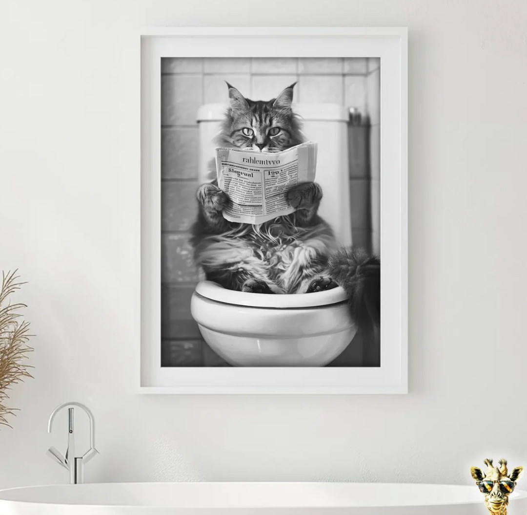 Gato baño 4