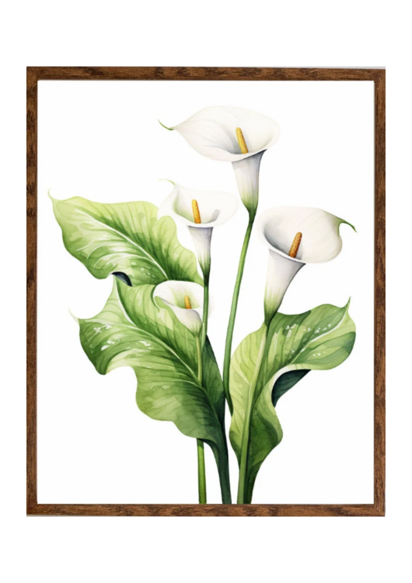 Planta 10