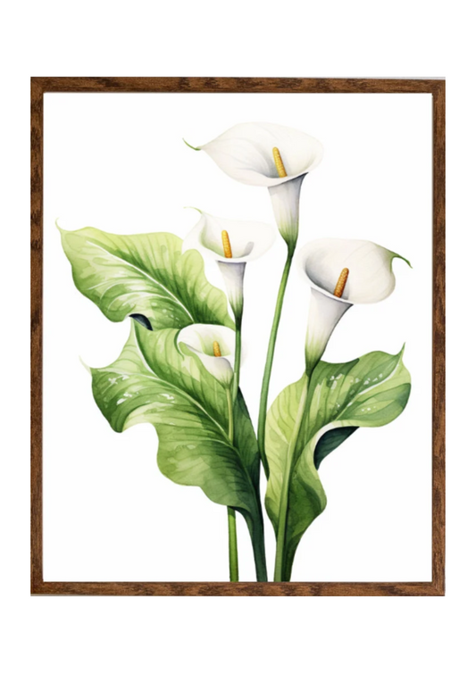 Planta 10