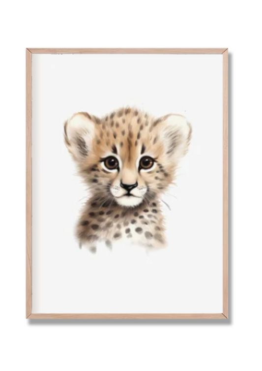 Safari 1