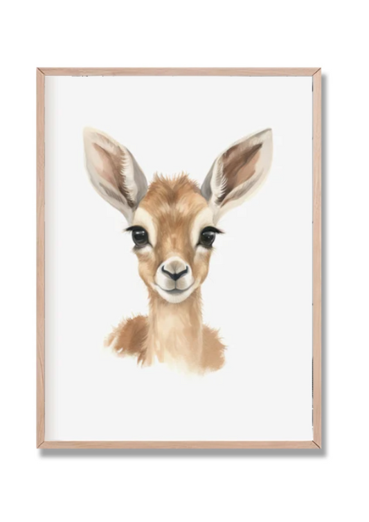 Safari 3