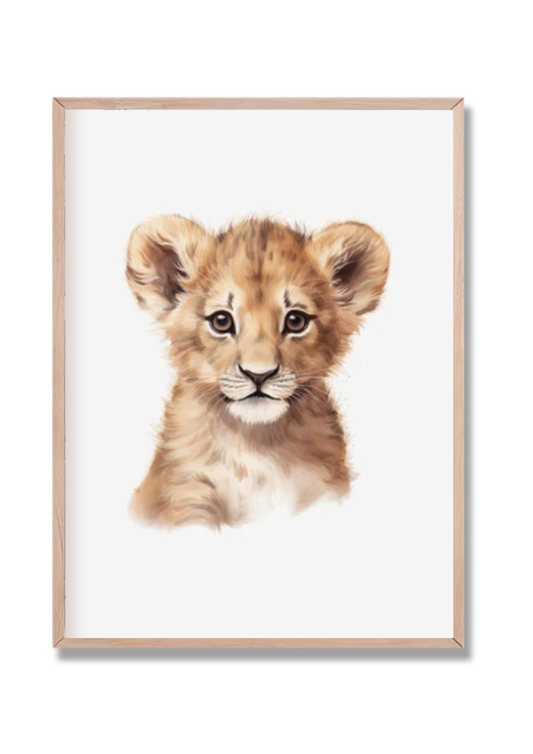 Safari 2