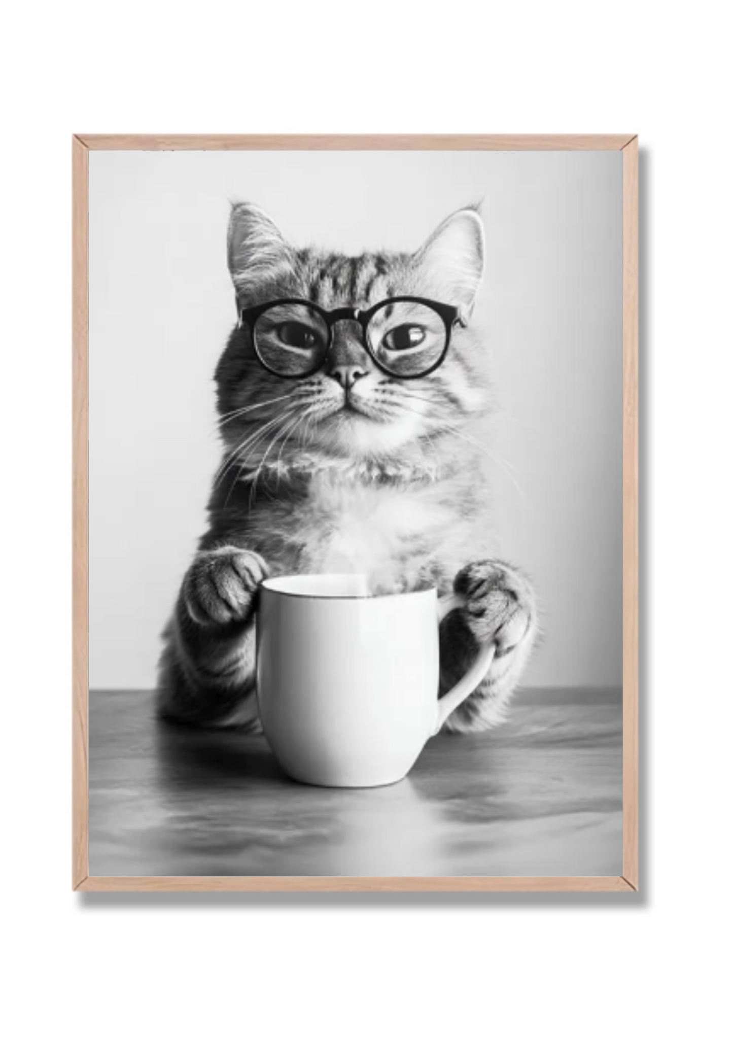 Gato Cocina