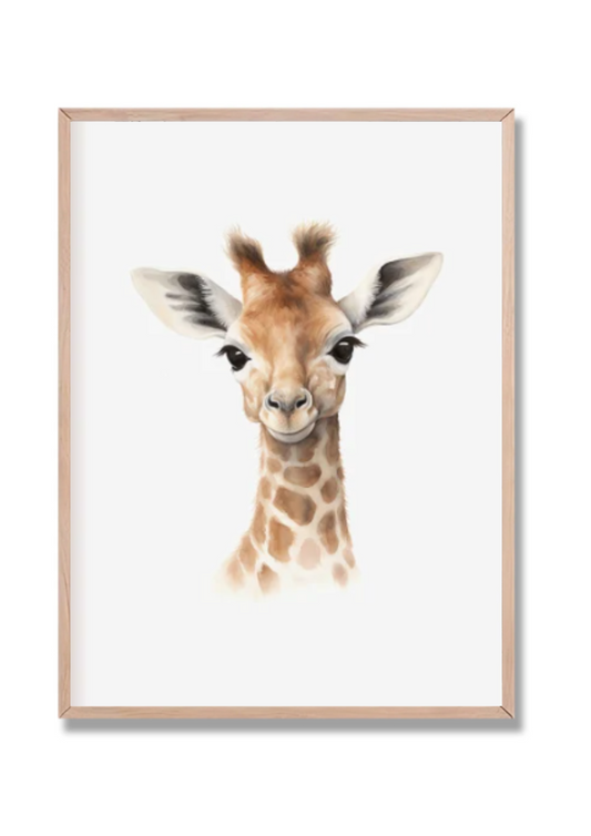 Safari 4