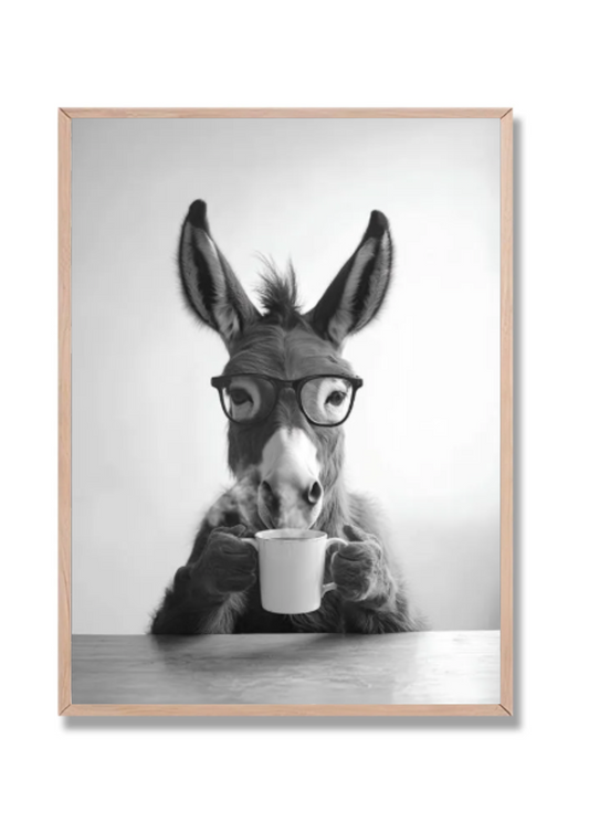 Burro Cocina