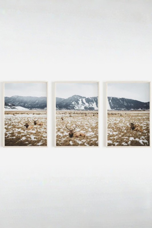 Set de 3 Montaña Nevada