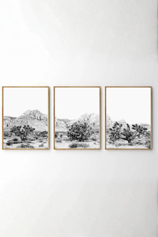 Set de 3 Desierto en Blanco y Negro