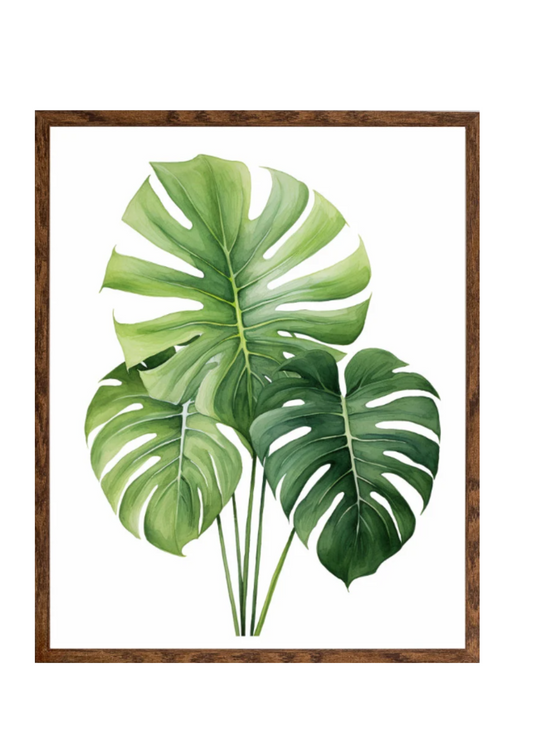 Planta 12
