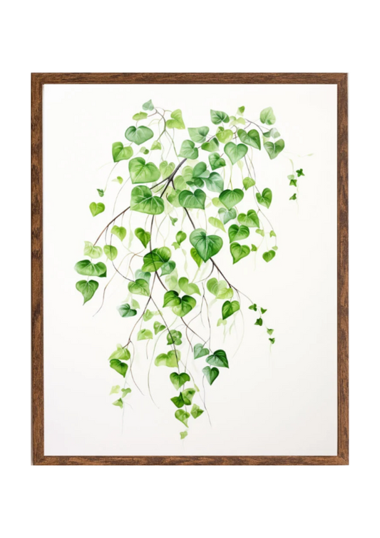 Planta 11