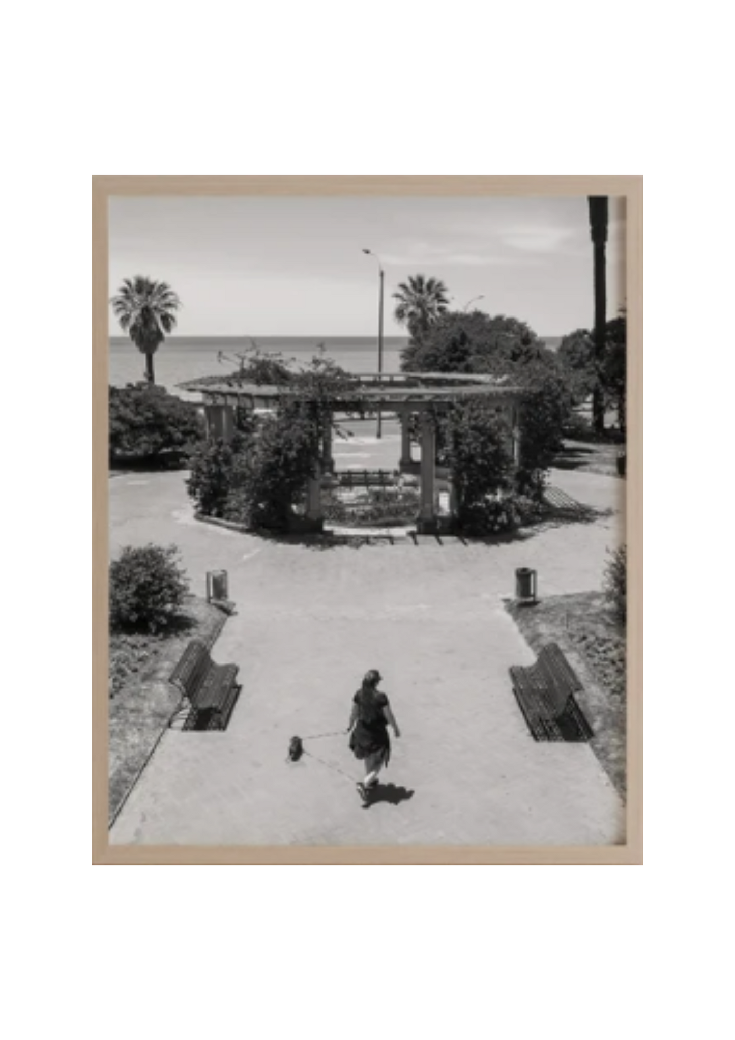 Montevideo 5