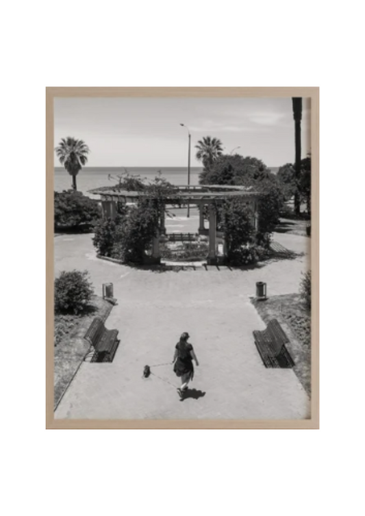 Montevideo 5
