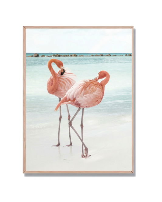 Flamencos Playa Paraíso