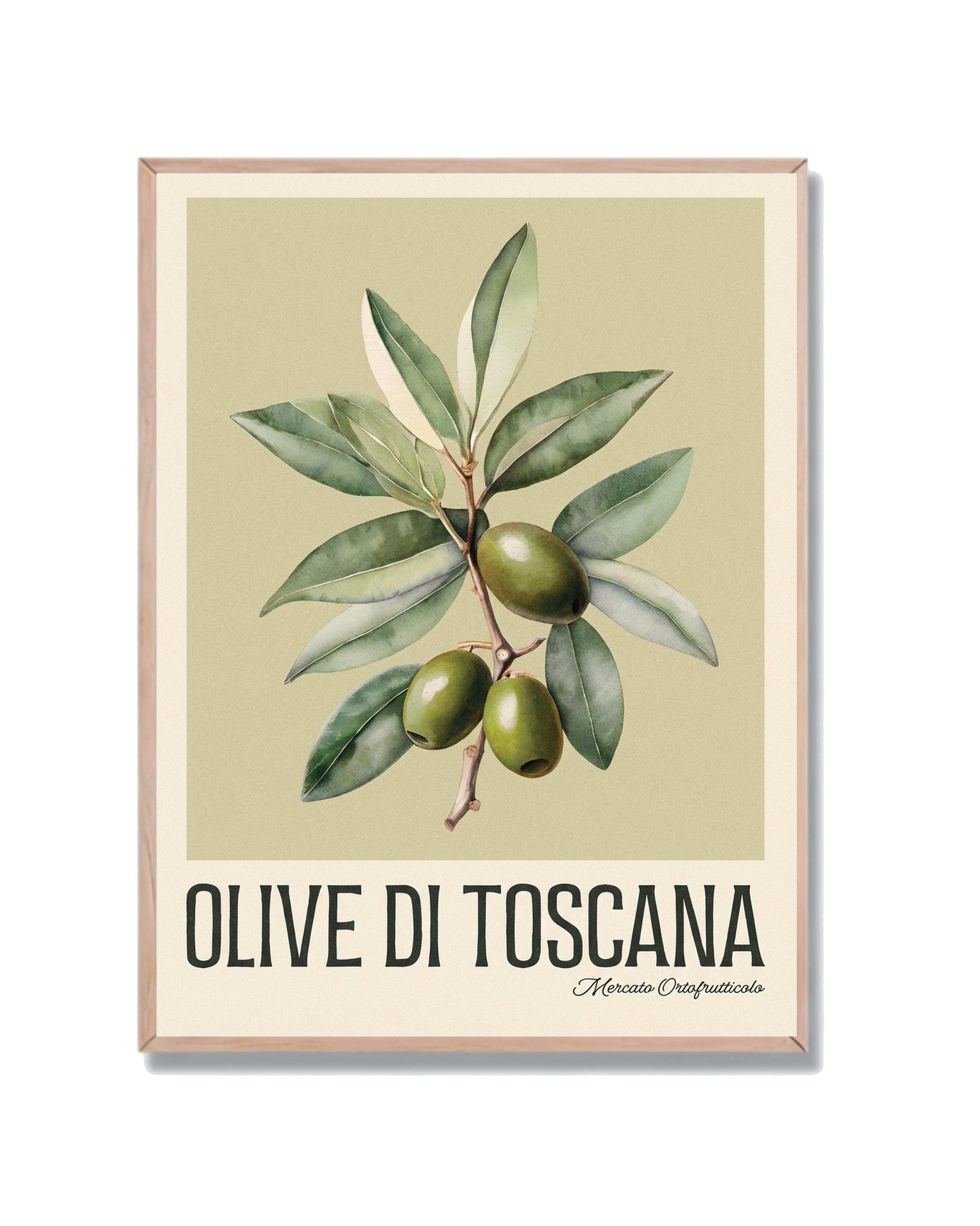 Olivas de Toscana