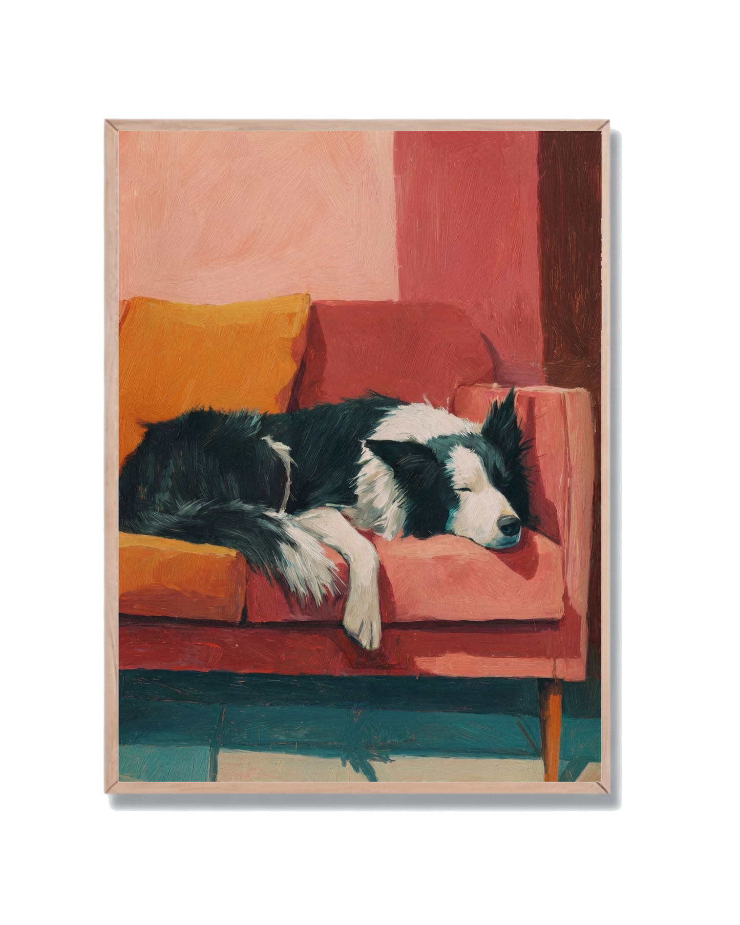 Perro Border Collie