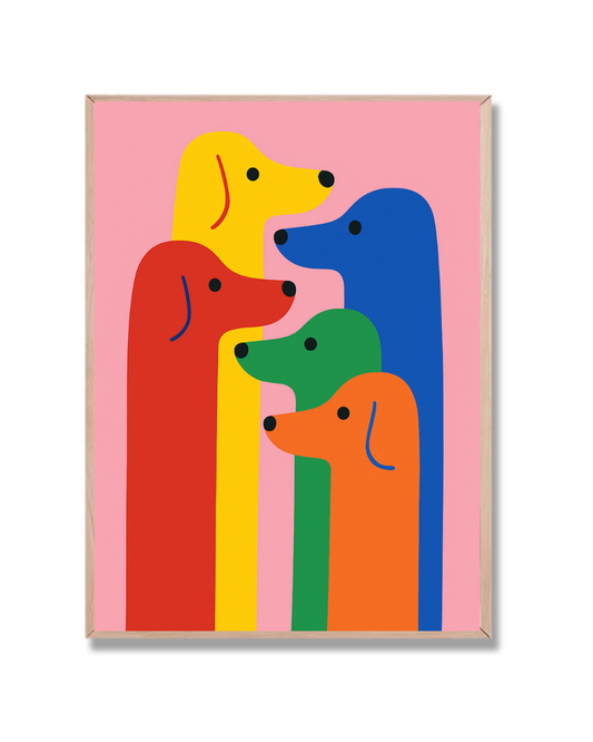 Perros salchicha multicolor