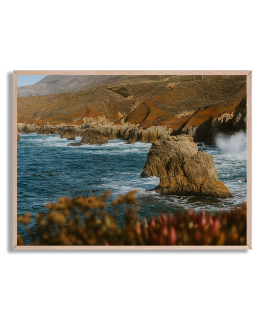 Costa rocosa