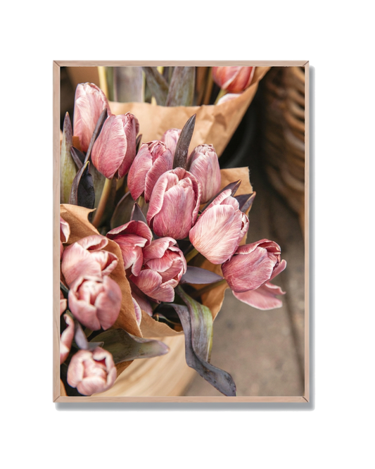 Tulipanes Rosas Variados