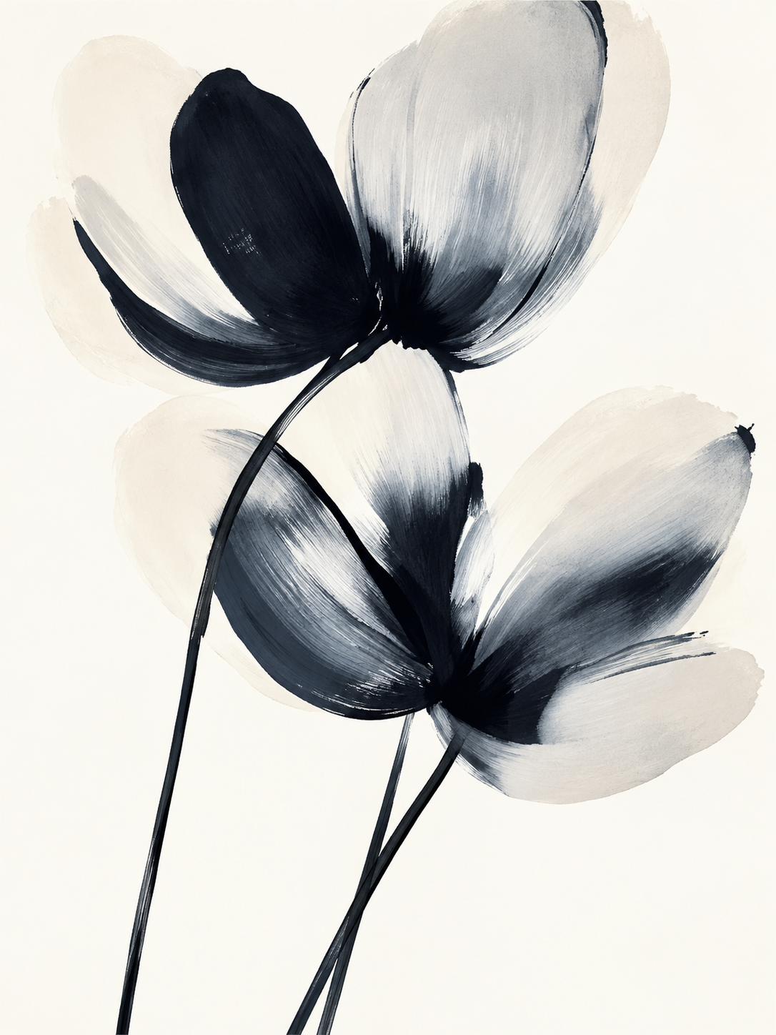 Flores Blancas y Negras