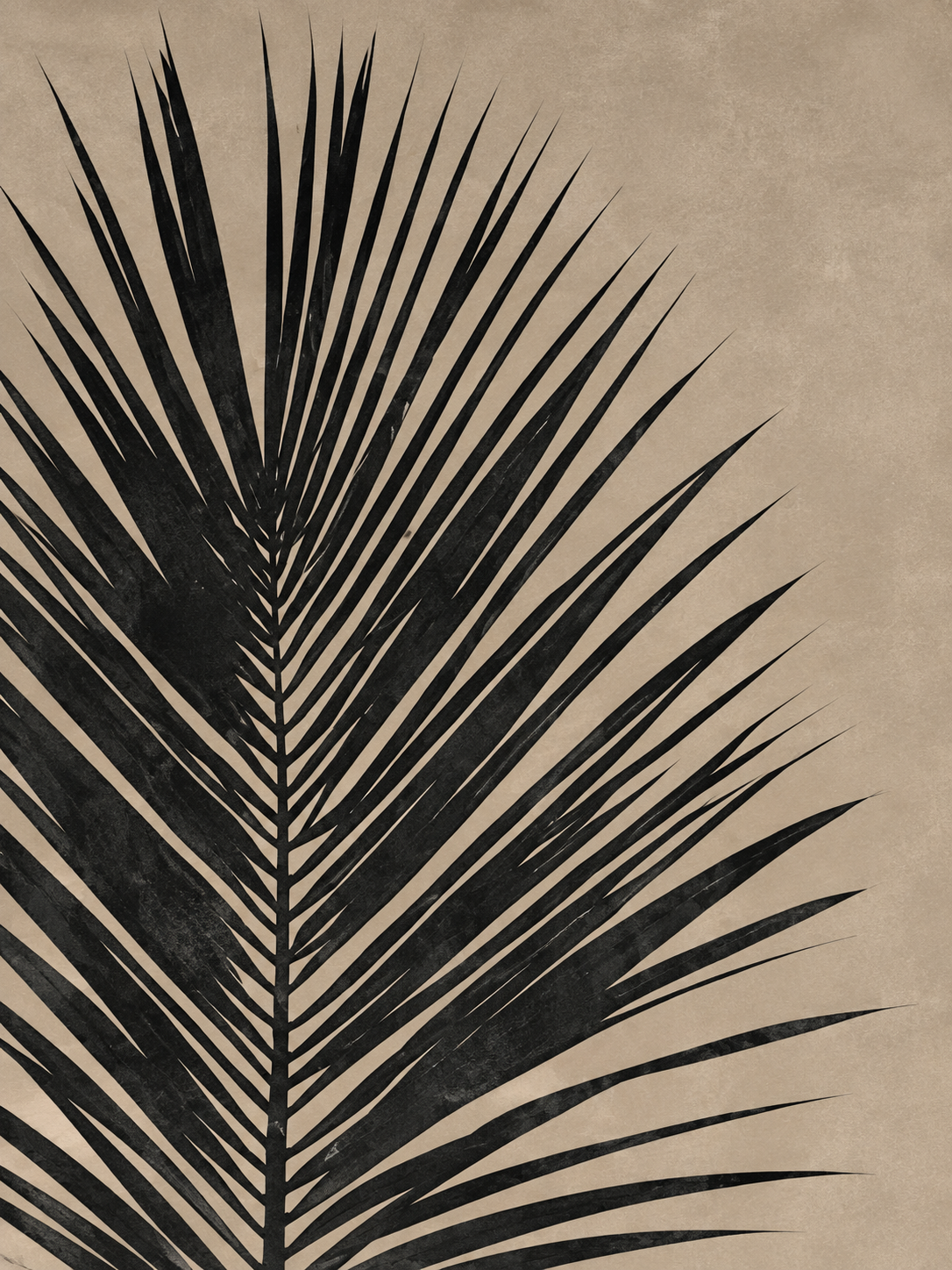 Hoja de palma negra sobre fondo taupe — Izquierdo