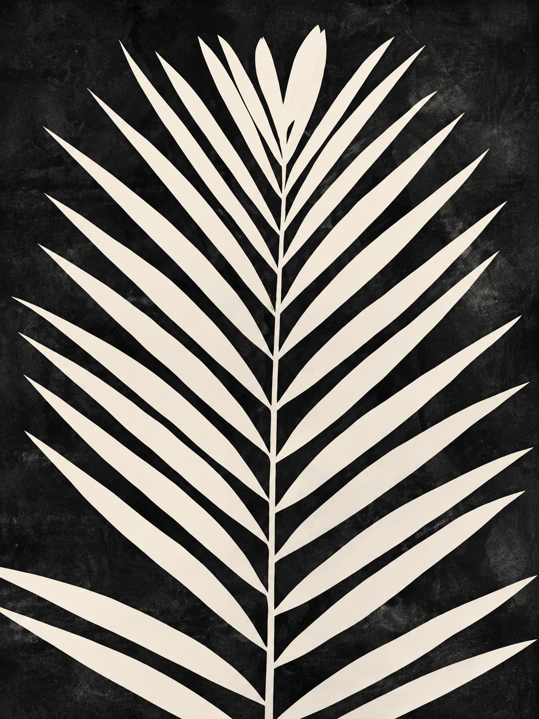 Hoja de palma crema sobre fondo negro — Central