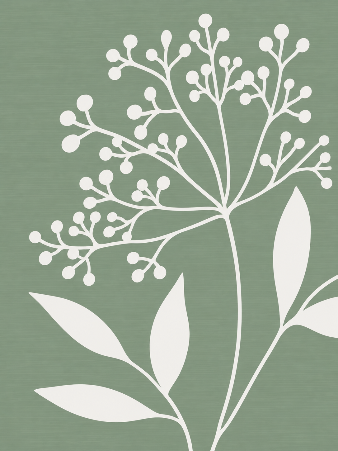 Fondo verde salvia y tallo blanco — Derecho