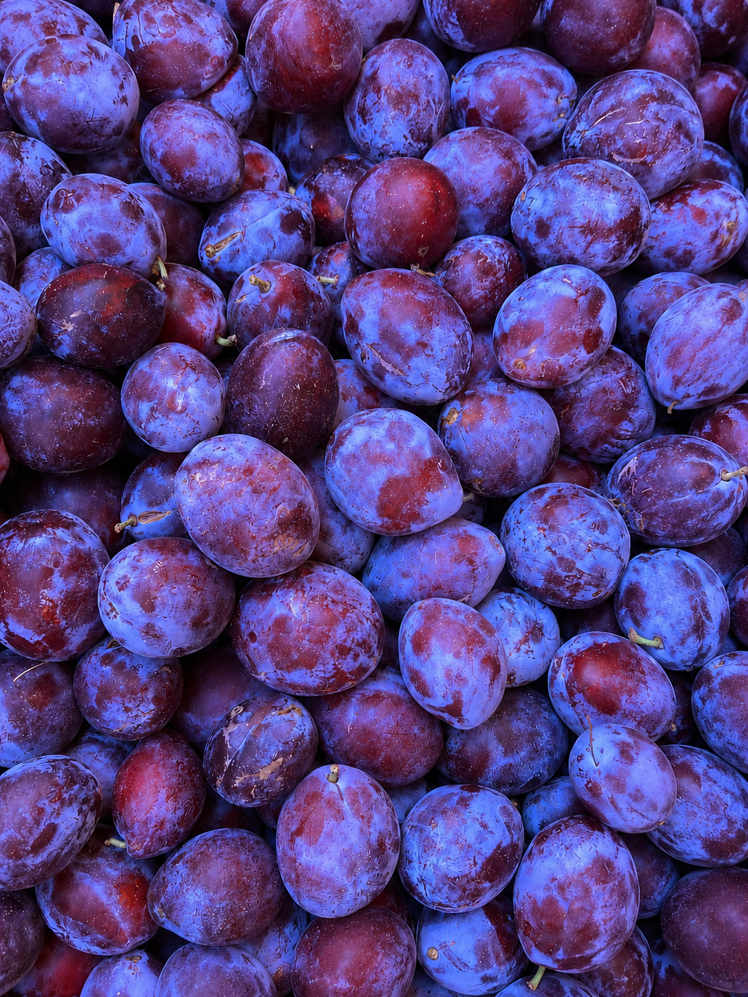 Uvas violetas, fotografía realista