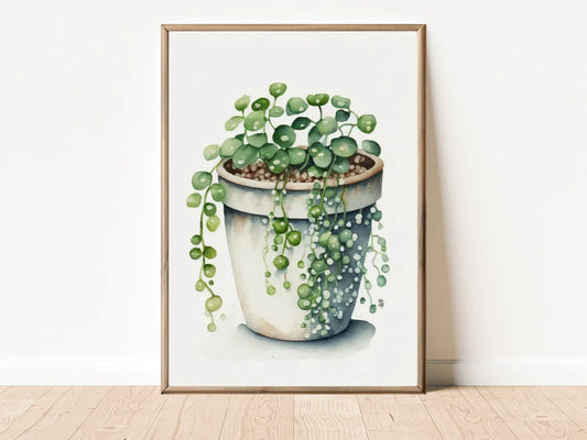 Planta 1