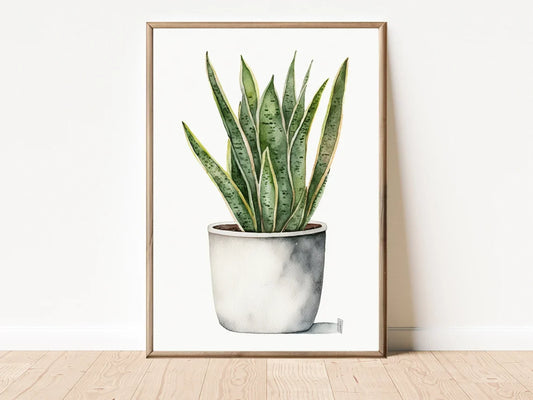 Planta 2