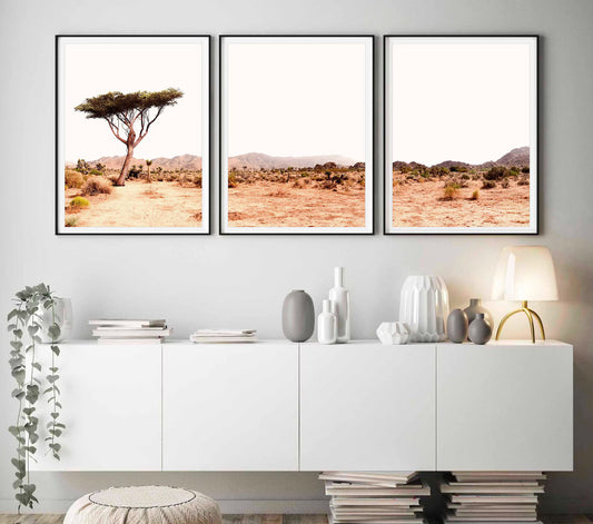 Set de 3 Arizona Desierto