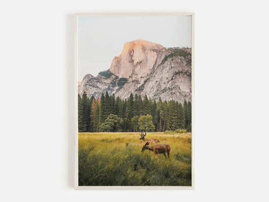 Montaña 7