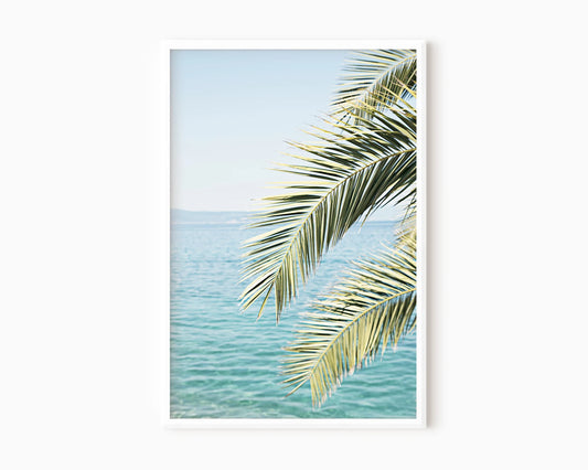 Playa 6