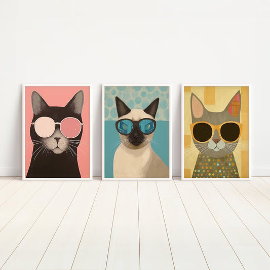 Set de 3 Gatos Lentes