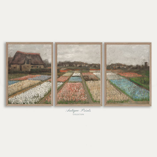 Set de 3 Campo de Tulipanes