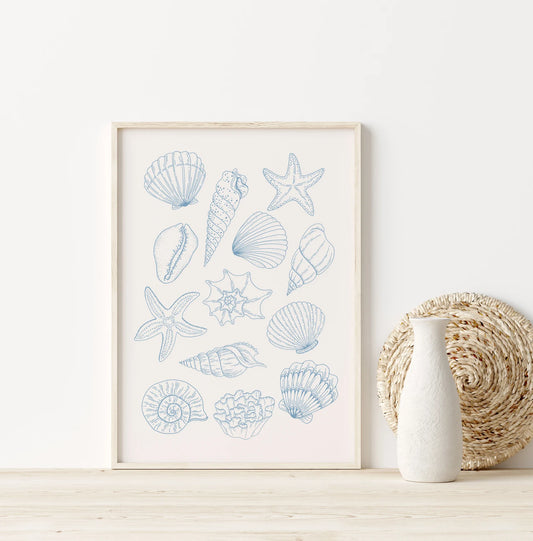 Shells