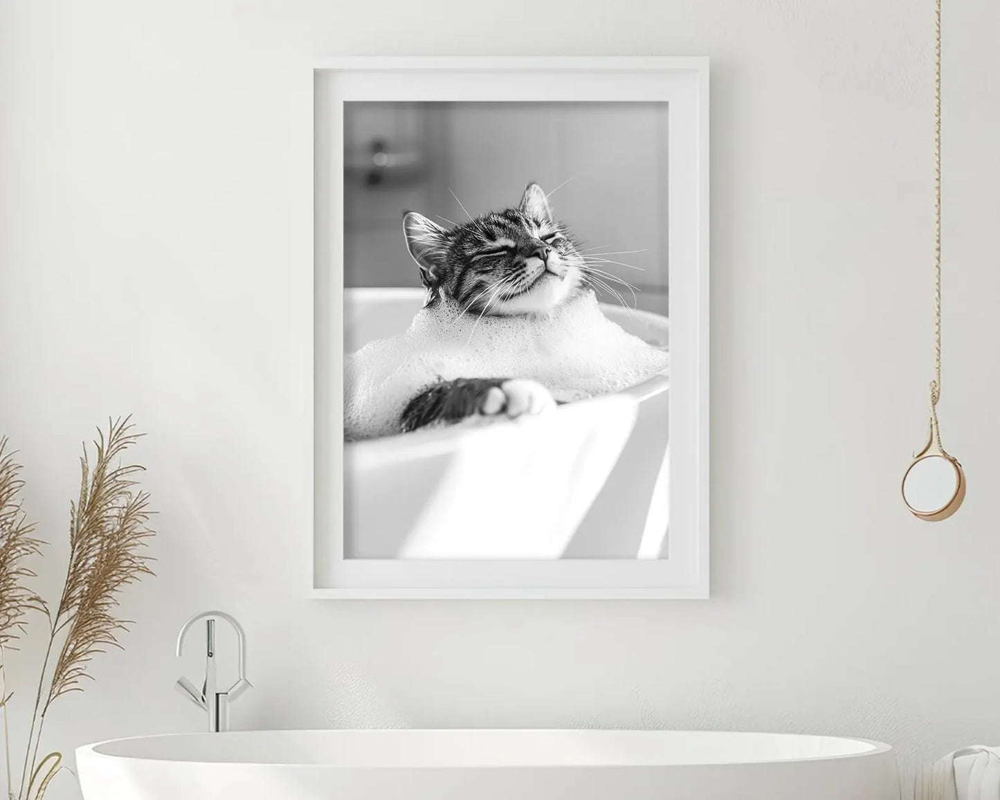 Gato baño 2