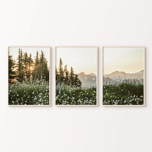Set de 3 Campo de Flores 5
