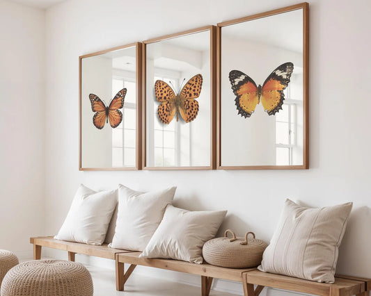 Set de 3 Mariposas