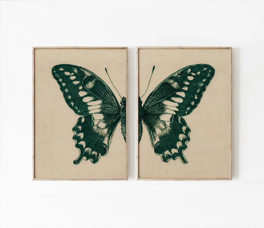 Set de 2 Mariposa #9
