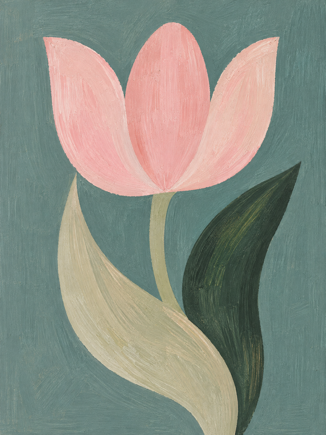Tulipán Rosa 002