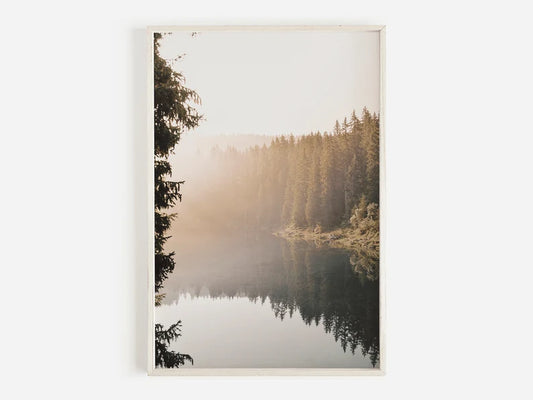 Bosque Misty