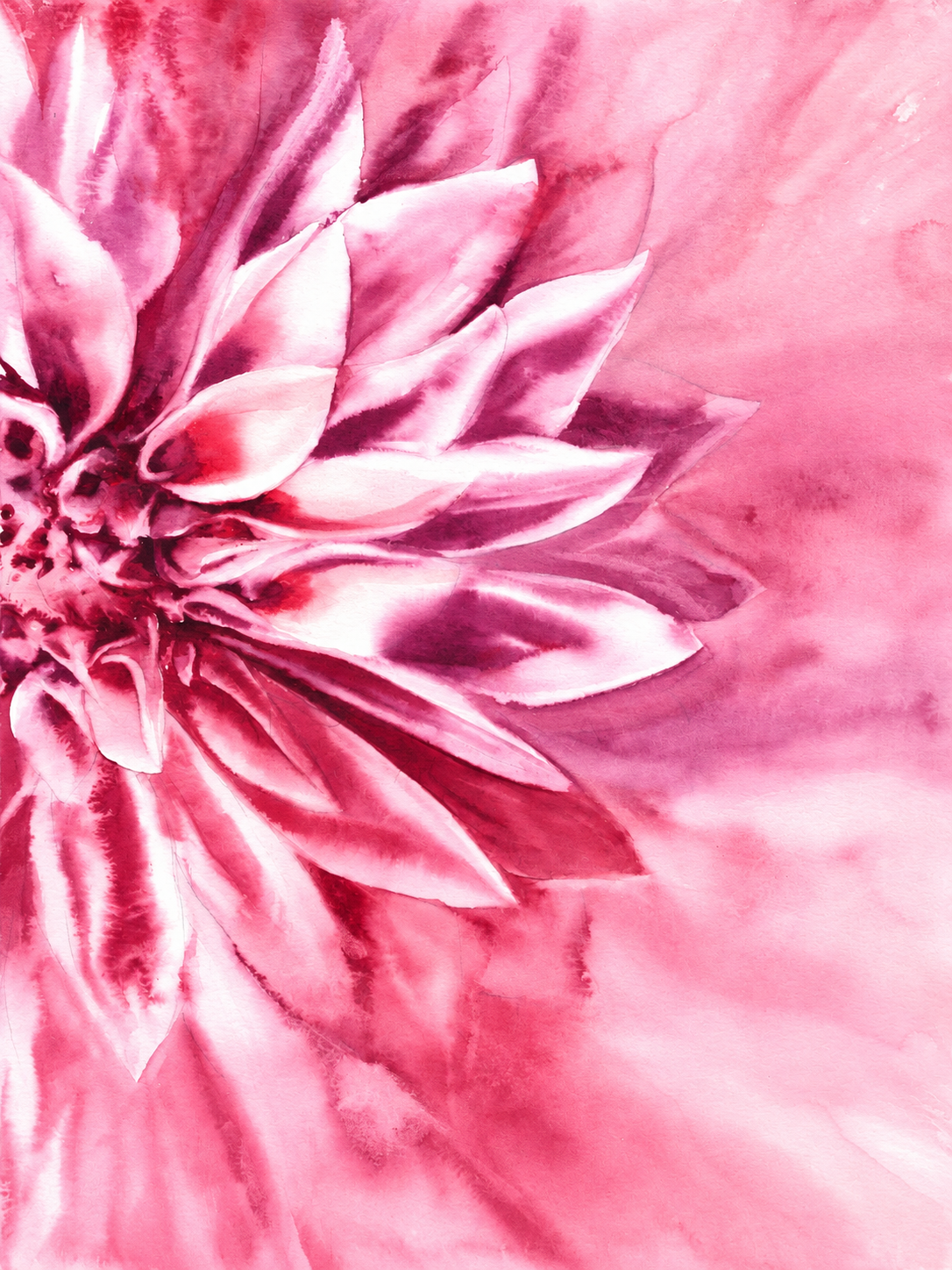 Flor Fucsia 008