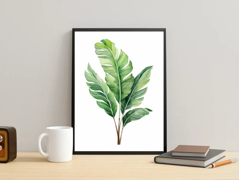 Planta 7