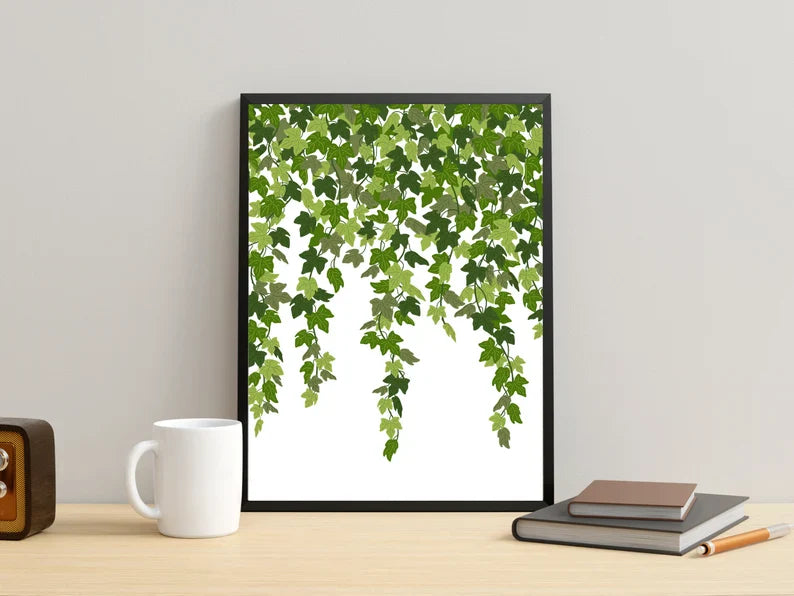 Planta 5