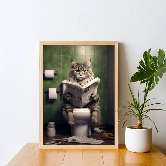 Gato Baño