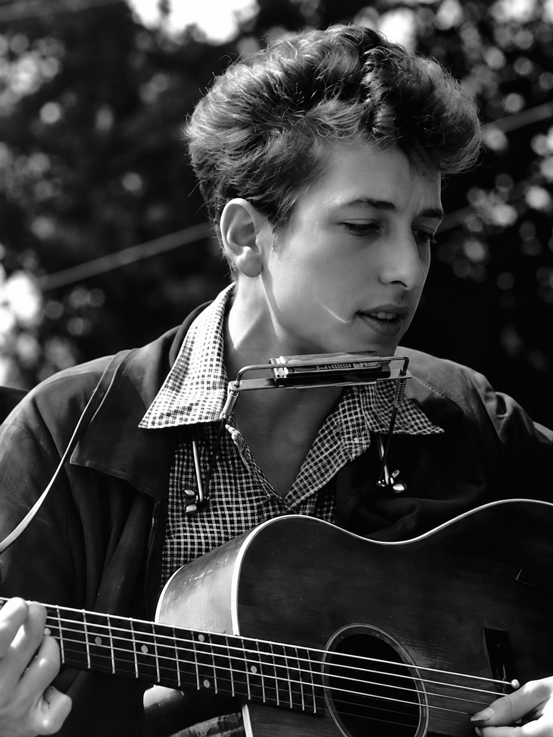 Bob Dylan #3 v2