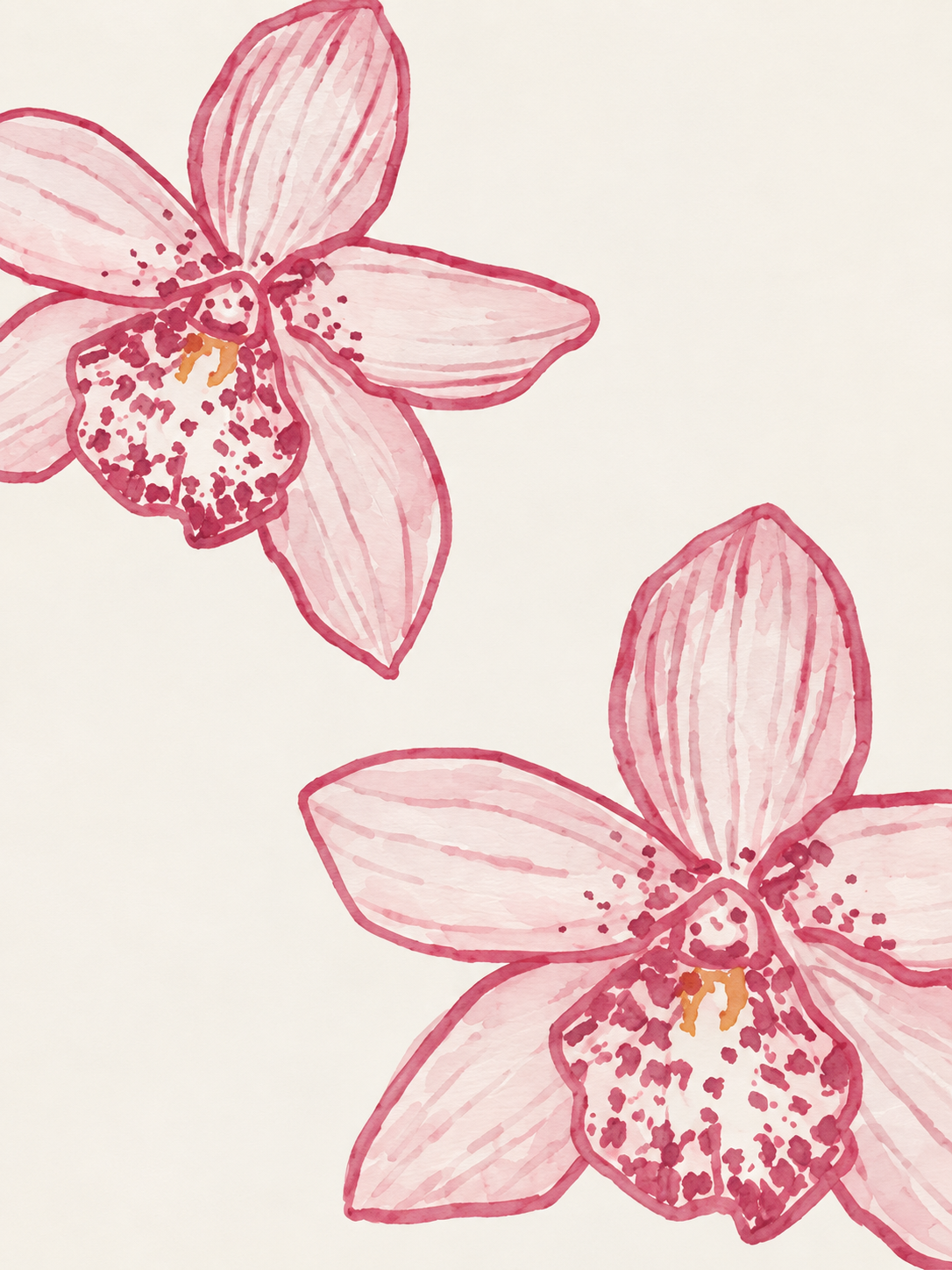 Orquídeas Rosadas 078
