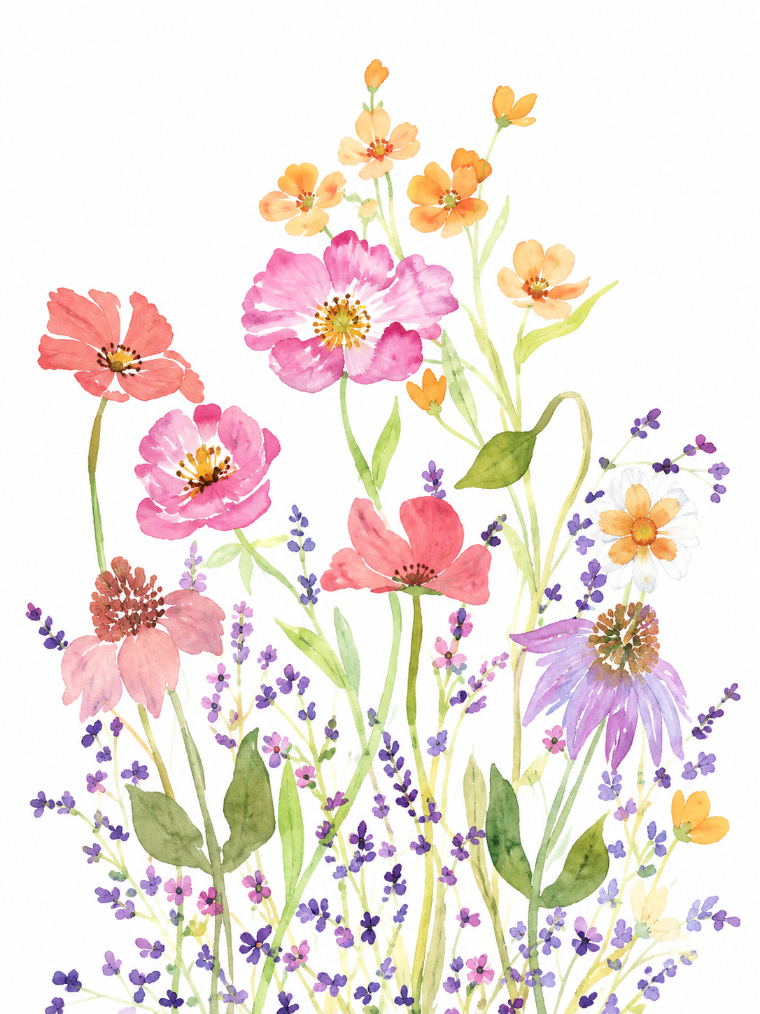 Flores de Colores 084