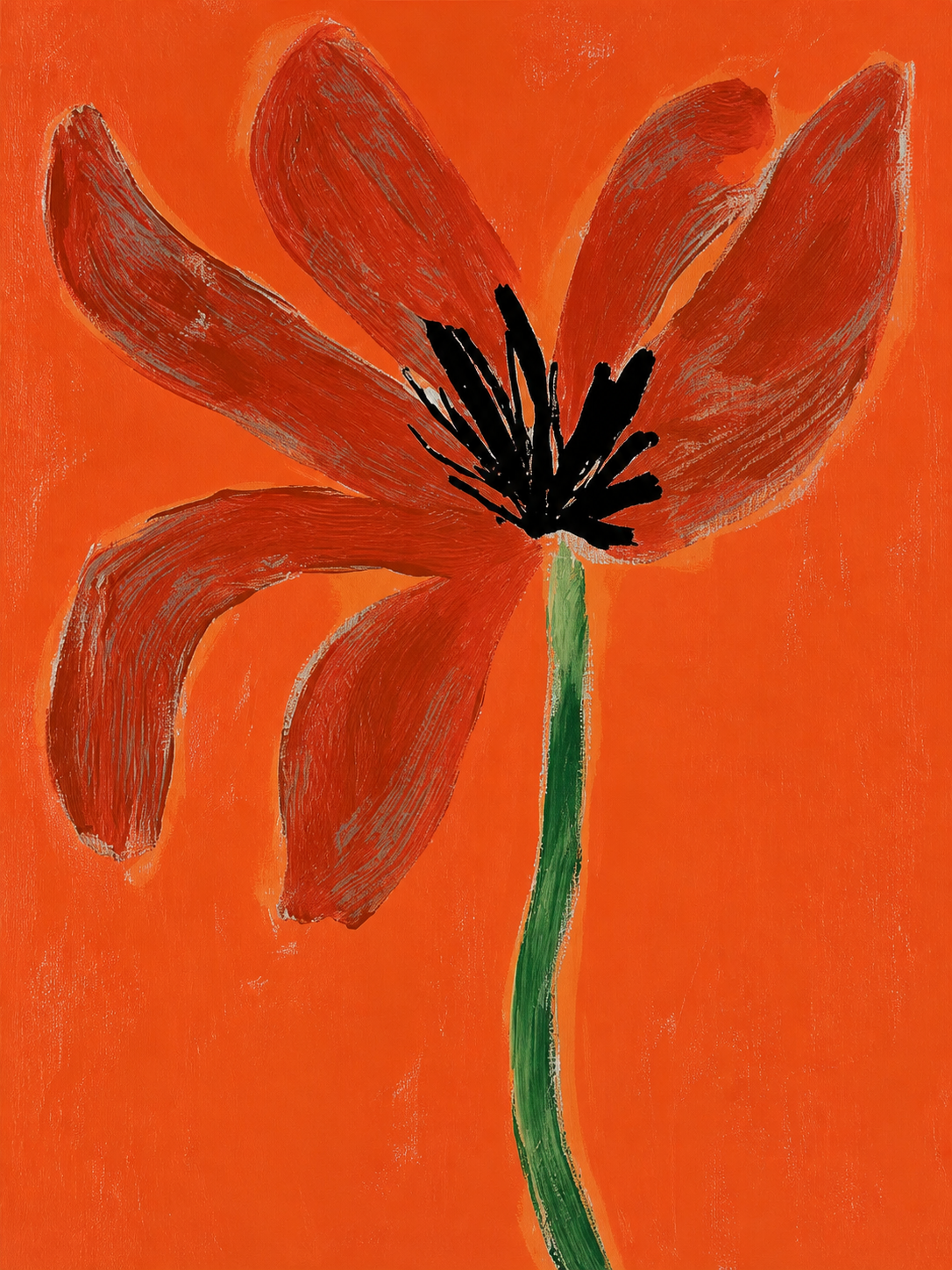 Amapola Naranja 106